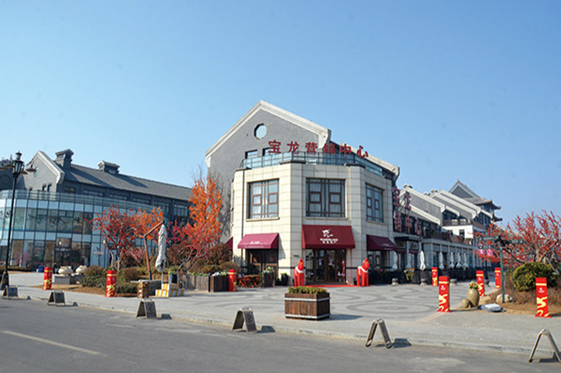 宝龙城市广场(图1)